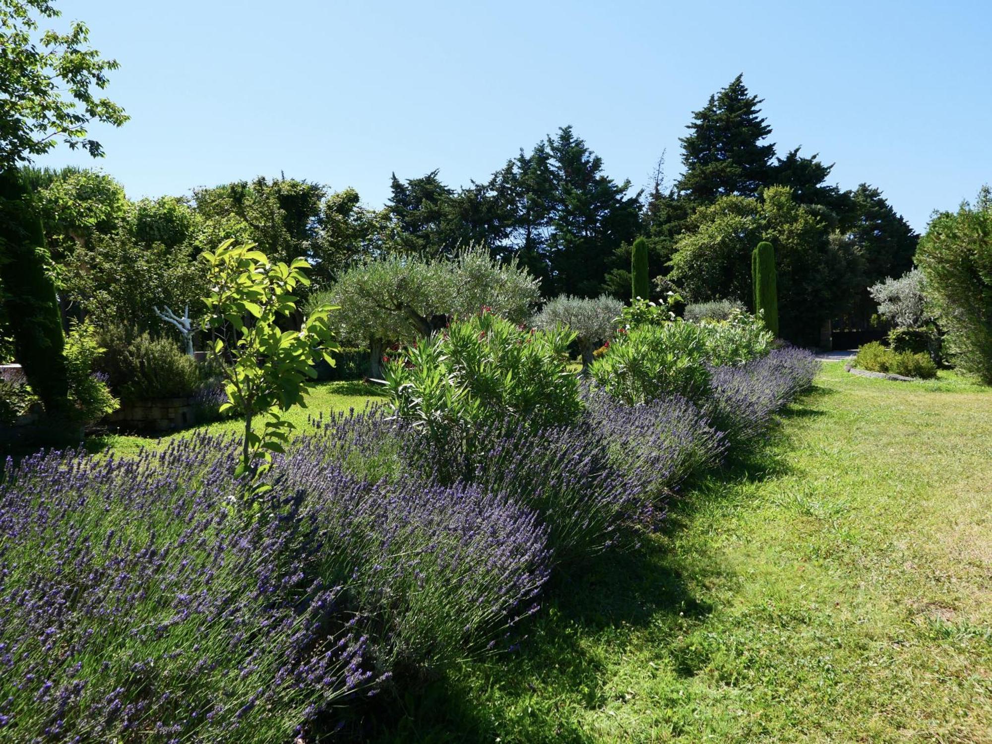 Typical Provencal Farm House Close To L'Isle Sur La Sorgue - 12 Persons 카바용 외부 사진